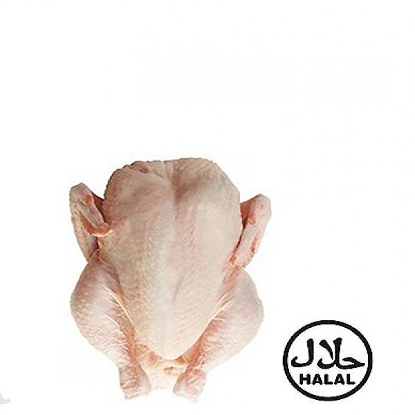 POLLO FRESCO HALAL