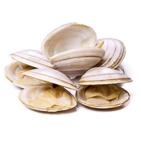 ALMEJA BLANCA BOLSA 1 KG