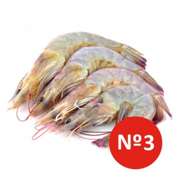 LANGOSTINO SALVAJE 3