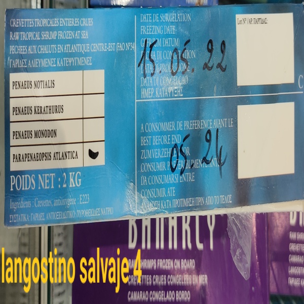 LANGOSTINO SALVAJE 4