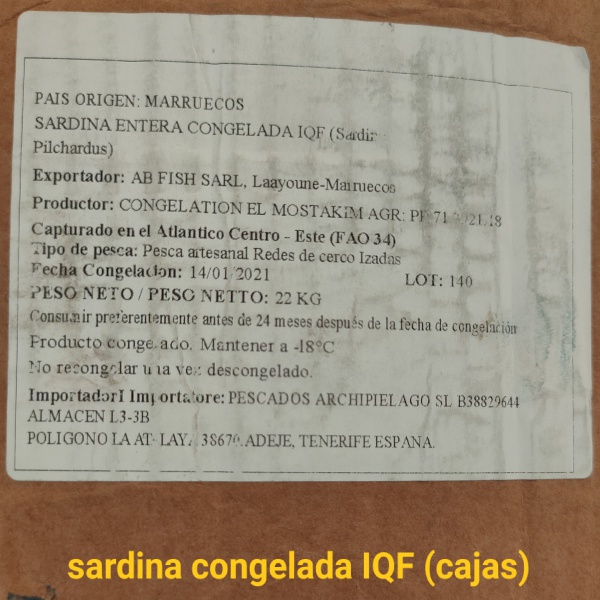 SARDINA CONGELADA IQF (cajas)